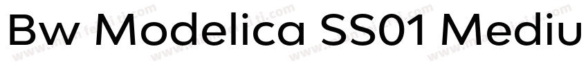 Bw Modelica SS01 Medium Expanded字体转换